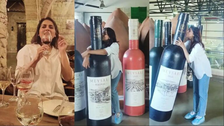 Rashmi Gautam : చేతిలో వైన్ గ్లాస్.. కిక్ లో రష్మీ.. రచ్చ మాములుగా లేదుగా..