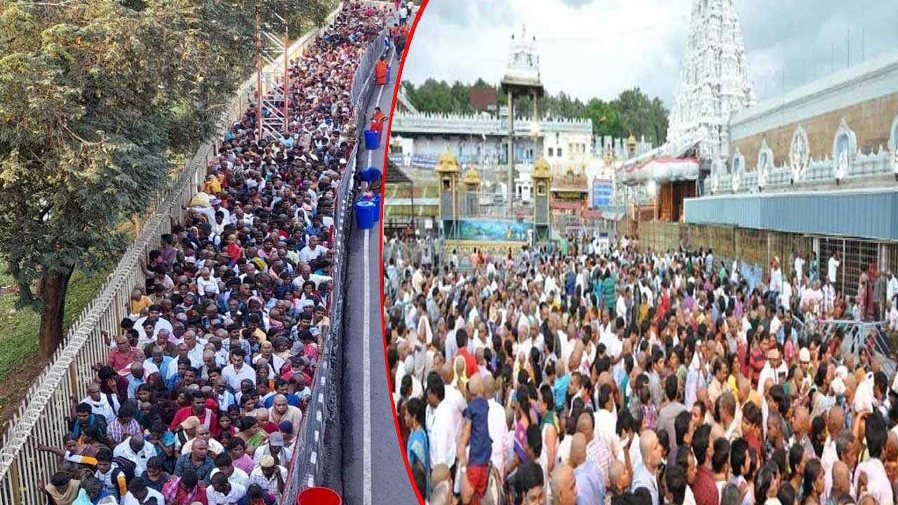 Tirumala: తిరుమల వెళ్లే వారికి అలర్ట్.. సర్వదర్శనానికి 16 గంటల సమయం..