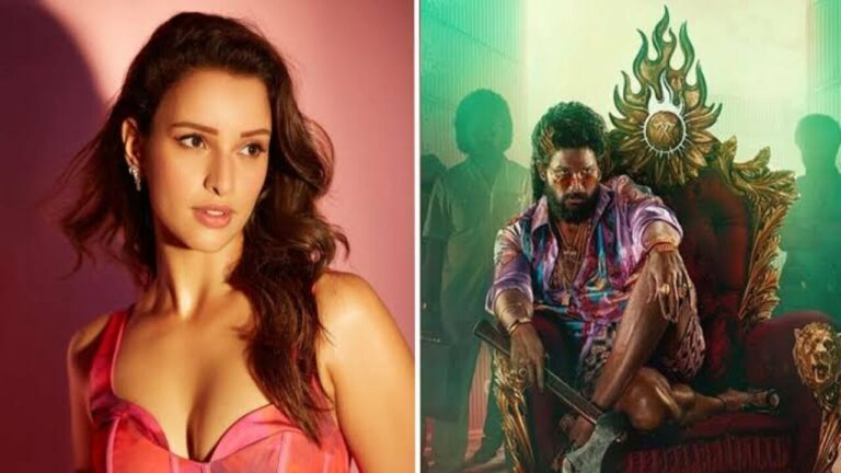 Pushpa 2 : స్పెషల్ సాంగ్ లో నటించనున్న యానిమల్ బ్యూటీ.. క్రేజీ న్యూస్ వైరల్..?