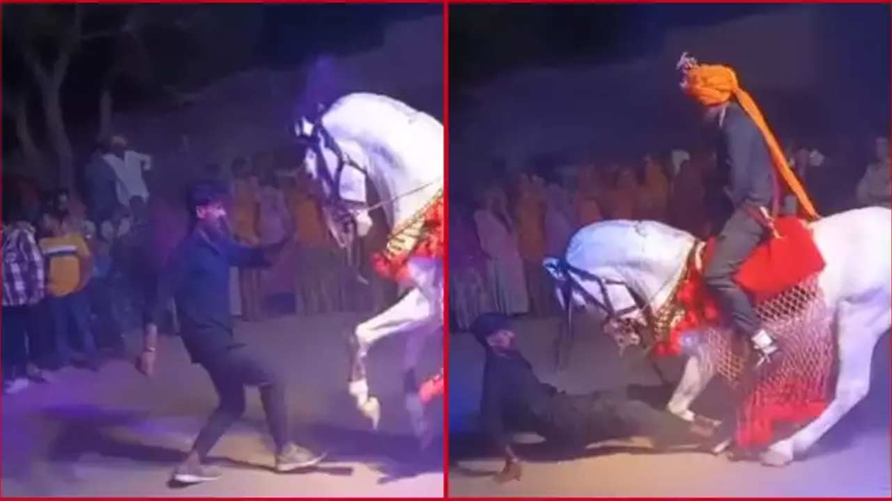 Horse Dance : గుర్రంపై వచ్చిన వరుడు.. గుర్రంతో డాన్స్‌ చేయించిన ఘనుడు