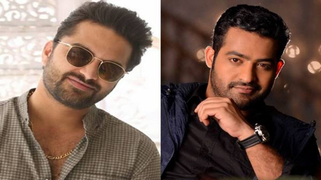 NTR : ఎన్టీఆర్ ప్లాప్ సినిమాని రీమేక్ చేస్తానంటున్న విశ్వక్ సేన్..