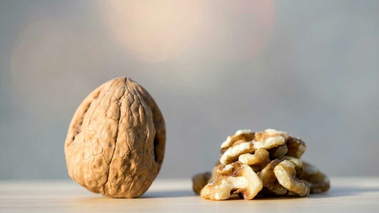 Walnuts: వాల్‌నట్‌లను రోజూ తినడం వల్ల శరీరానికి 10 ప్రయోజనాలు..!