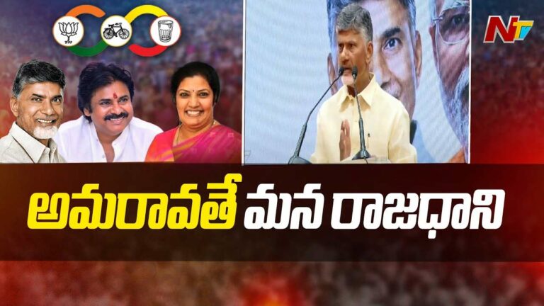 Chandrababu Naidu: ఏపీ రాజధానిగా అమరావతే.. ఆర్థిక రాజధానిగా  విశాఖ..!