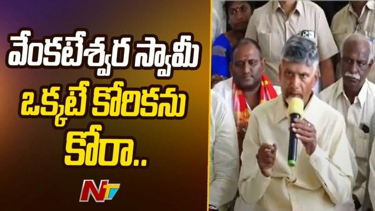 Chandrababu: నేటి నుంచి ప్రజాపాలన మొదలైంది.. ప్రక్షాళన తిరుమల నుంచే ప్రారంభిస్తా..