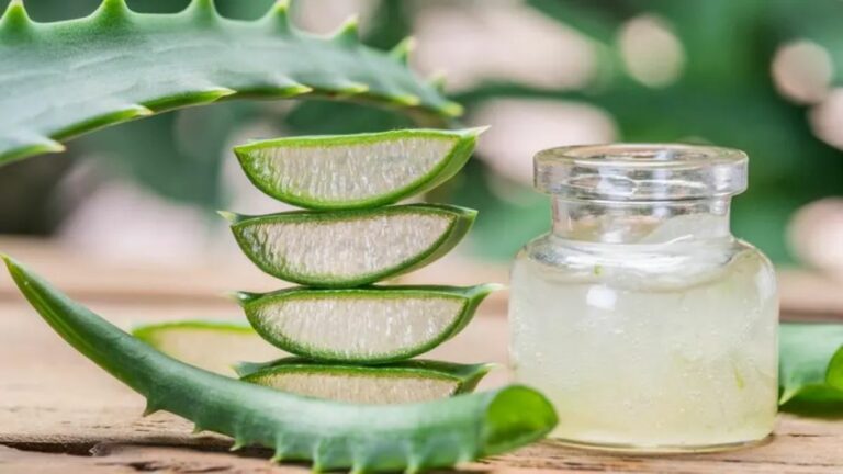 Aloevera Juice: అలోవెరా జ్యూస్ వల్ల ఇన్ని ప్రయోజనాలా..