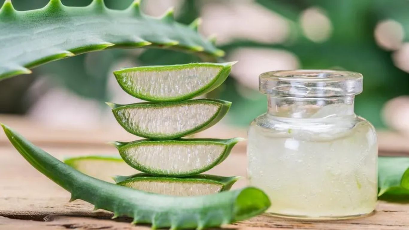 Aloevera Juice: అలోవెరా జ్యూస్ వల్ల ఇన్ని ప్రయోజనాలా..