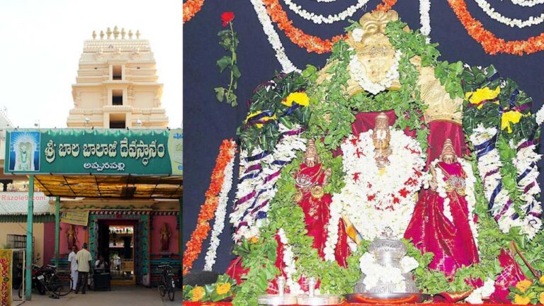 Appanapalli: కనుల పండువగా అప్పనపల్లి బాల బాలాజీ కల్యాణోత్సవం