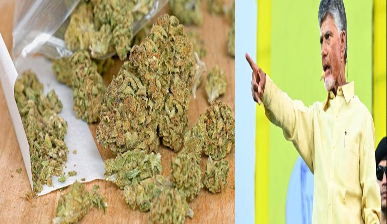 Ganja Smuggling: గంజాయి, డ్రగ్స్ కట్టడికి యాక్షనులోకి దిగిన సీఎం..