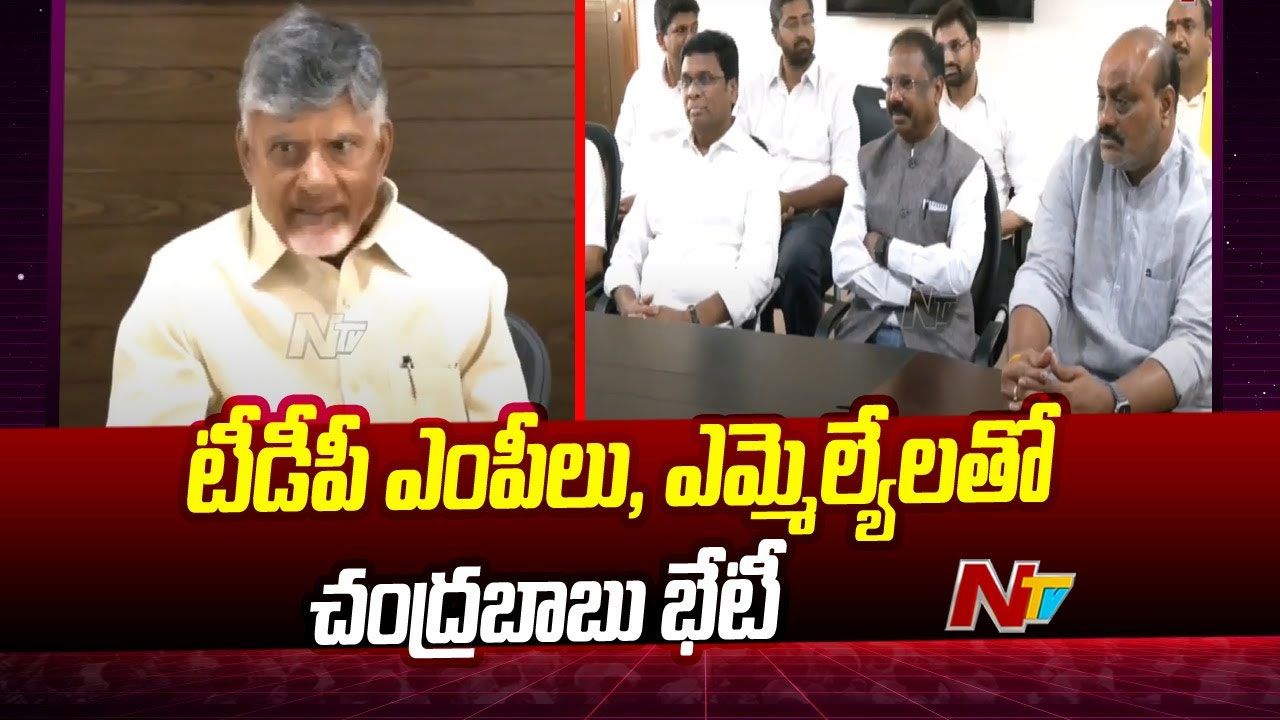 Chandrababu: ప్రజా తీర్పుతో ఎవరూ ఆకాశంలో ఎగరొద్దు.. ఎంపీలకు చంద్రబాబు దిశానిర్దేశం