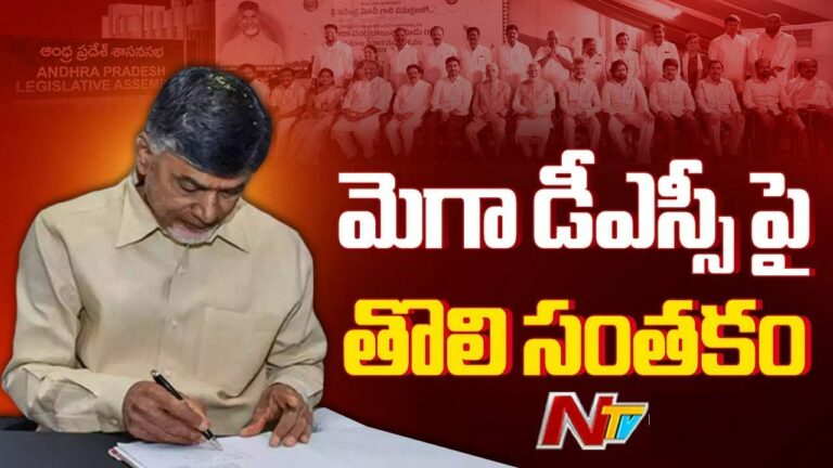 Chandrababu: సచివాలయంలో  సీఎంగా బాధ్యతలు స్వీకరించనున్న చంద్రబాబు.. మెగా డీఎస్సీపై తొలి సంతకం!