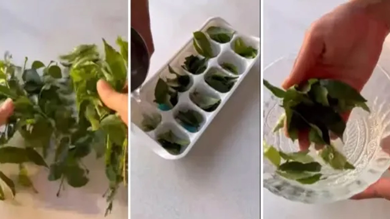 Viral Video: అబ్బా ఏం ఐడియా బాసు.. ఇలా చేస్తే నెలల తరబడి కరివేపాకు ఫ్రెష్ గా..