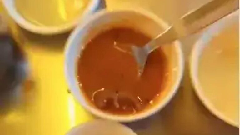 Dead Rat In Sambar: సాంబార్‌లో చనిపోయిన ఎలుక.. పాపులర్ రెస్టారెంట్‌లో ఘటన..వీడియో వైరల్..