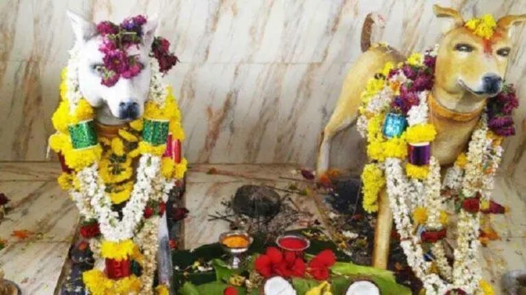 Dog Temple: కుక్కలకు ఆలయాలు.. ఎక్కడ ఉన్నాయో తెలుసా?