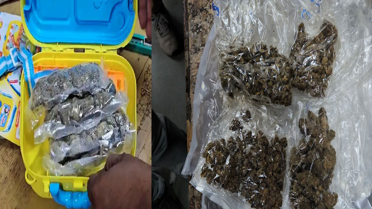 Drugs: చిన్నారుల లంచ్ బాక్సులో కోటి విలువైన డ్రగ్స్ సరఫరా..