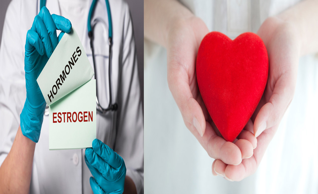 Estrogen Hormone on Ladies : మహిళలపై ఈస్ట్రోజెన్ హార్మోన్స్ ఎలా ప్రభావితం చేస్తుందంటే..