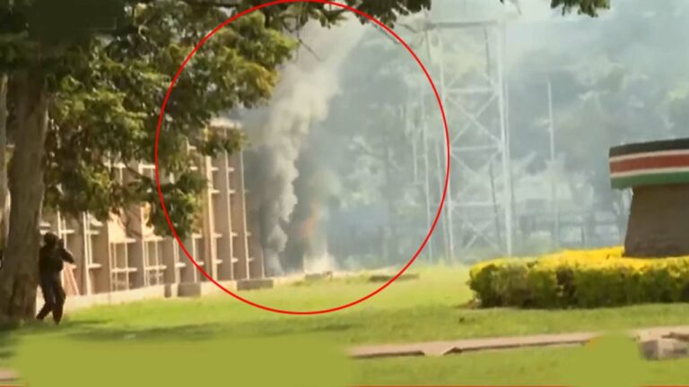 Kenya: కొత్త పన్నుల విధానాన్ని వ్యతిరేకిస్తూ ప్రజలు ఆందోళన.. పార్లమెంట్ భవనానికి నిప్పు