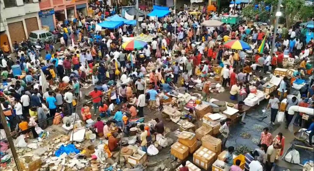 Fish Sales