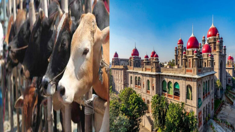 Bakrid: బక్రీద్ సందర్భంగా.. హైకోర్టు కీలక వ్యాఖ్యలు