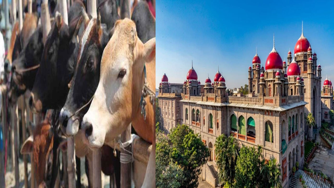 Bakrid: బక్రీద్ సందర్భంగా.. హైకోర్టు కీలక వ్యాఖ్యలు