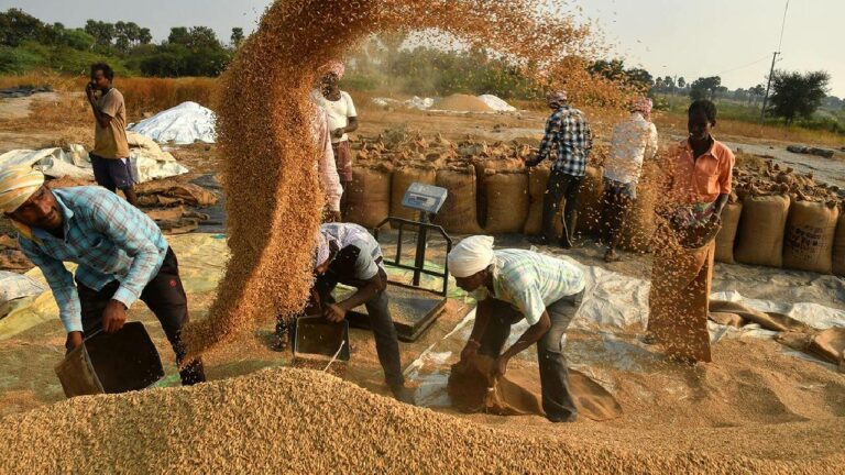 MSP: రైతులకు కేంద్రం గుడ్‌న్యూస్.. 14 ఖరీఫ్ పంటలకు మద్దతు ధర పెంపు..