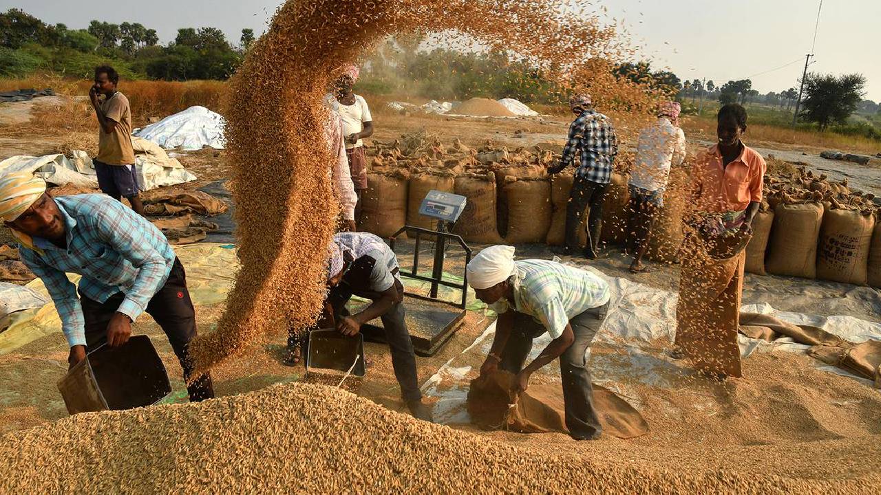 MSP: రైతులకు కేంద్రం గుడ్‌న్యూస్.. 14 ఖరీఫ్ పంటలకు మద్దతు ధర పెంపు..