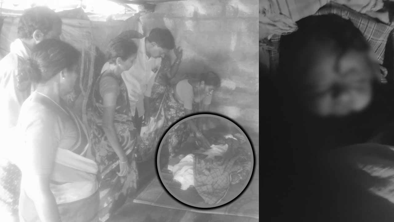 Dog Attack: మహబూబాబాద్‌లో దారుణం.. నెలల పసికందును చంపిన కుక్కలు