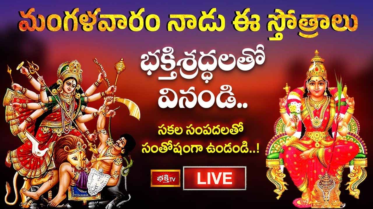 Mahalakshmi Stotram: ఈ స్తోత్రాలు వింటే.. సకల సంపదలతో సంతోషంగా ఉంటారు