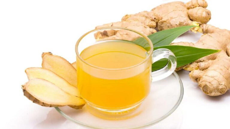 Ayurvedic Drink: ఈ ఆయుర్వేద పానీయంతో  వర్షాకాలంలో వ్యాపించే వ్యాధులకు చెక్..