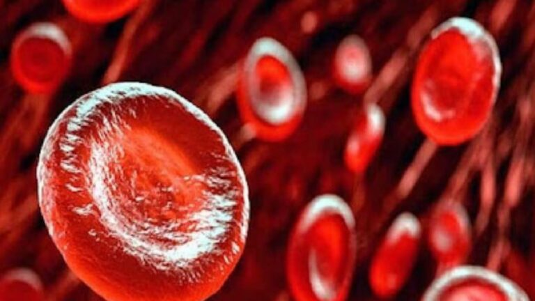 Blood increasing food: రక్తహీనత సమస్యను తరిమికొట్టే పండ్లు ఇవే…