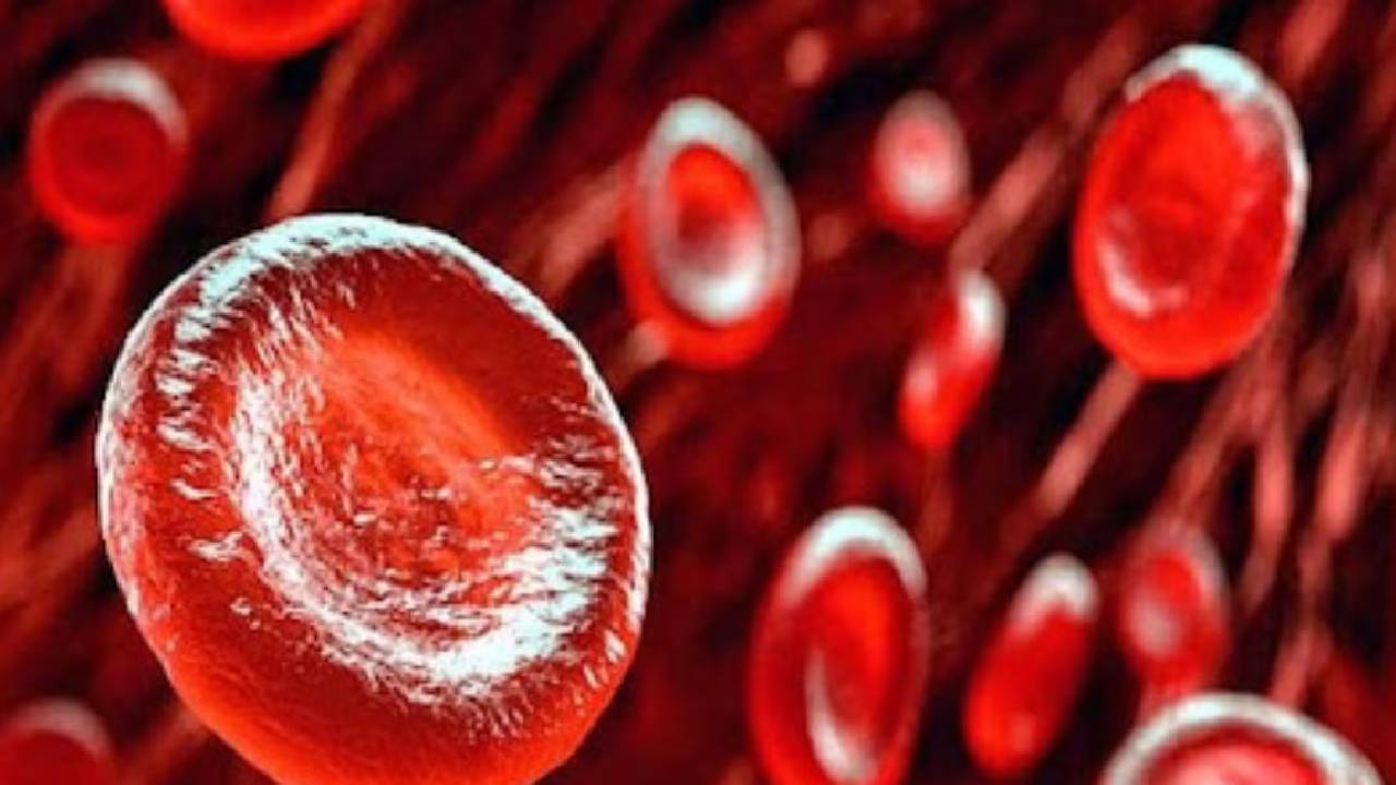 Blood increasing food: రక్తహీనత సమస్యను తరిమికొట్టే పండ్లు ఇవే…