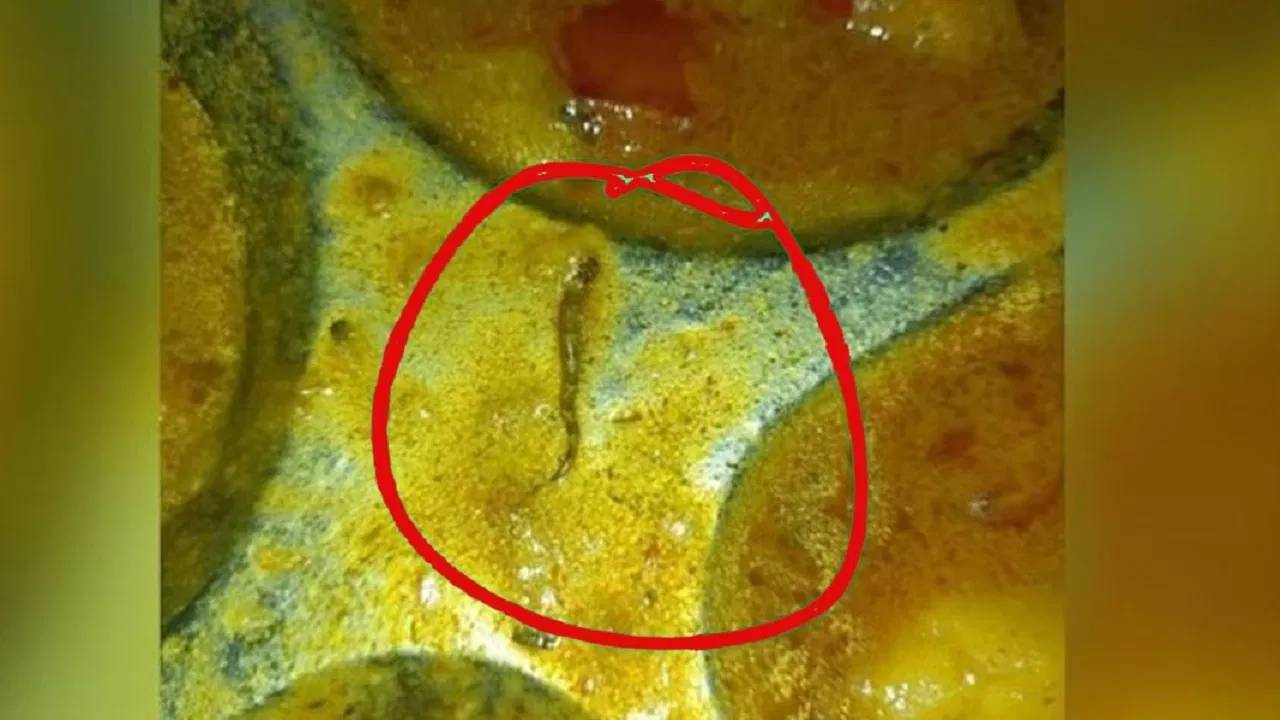 Bihar : ఇంజినీరింగ్ కాలేజీ క్యాంటీన్‌లోని ఆహారంలో పాము.. తీవ్ర అస్వస్థతకు గురైన విద్యార్థులు