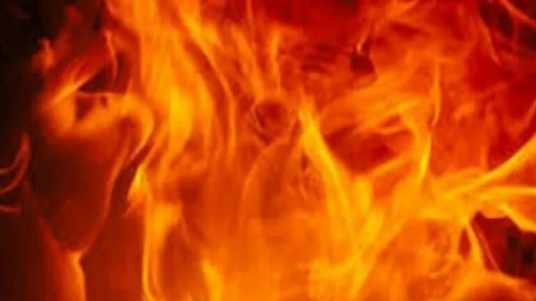 Fire Accident : ఢిల్లీలో అగ్నిప్రమాదం.. ఇన్వర్టర్ లో మంటలు చెలరేగి నలుగురు కుటుంబ సభ్యులు మృతి