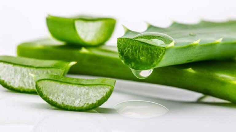 Benefits with Kalbandha:  అందానికే కాదు.. ఆరోగ్య ప్రయోజనాలకు కూడా కలబంద..