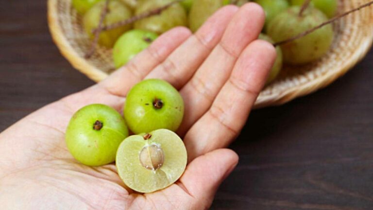 Health Benefits of Amla : ప్రతిరోజు ఉసిరి కాయ తింటే ఆరోగ్యానికి ఎన్ని ప్రయోజనాలో తెలుసా ?