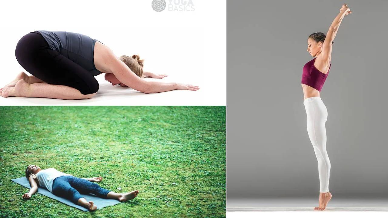 International Yoga Day 2024: వృద్ధులు రోజూ  తప్పకుండా చేయాల్సిన ఆసనాలు ఇవే..