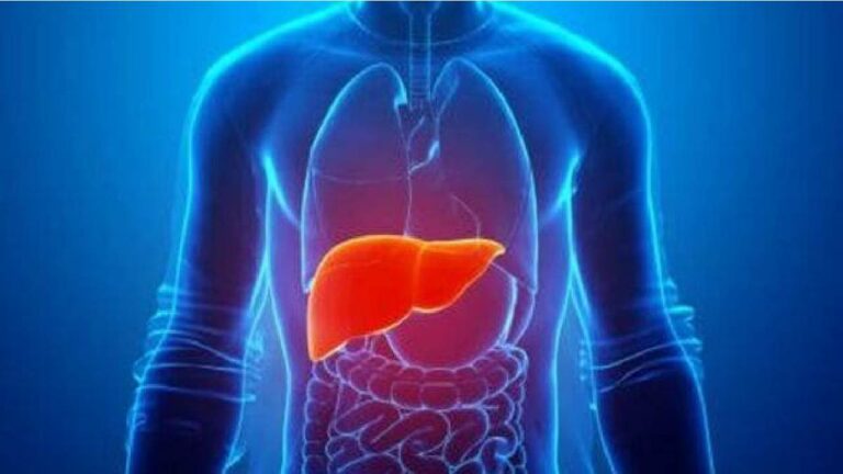 Health Tips: లివర్ ని శుభ్ర పరిచేందుకు ఈ డ్రింక్స్ తాగండి..