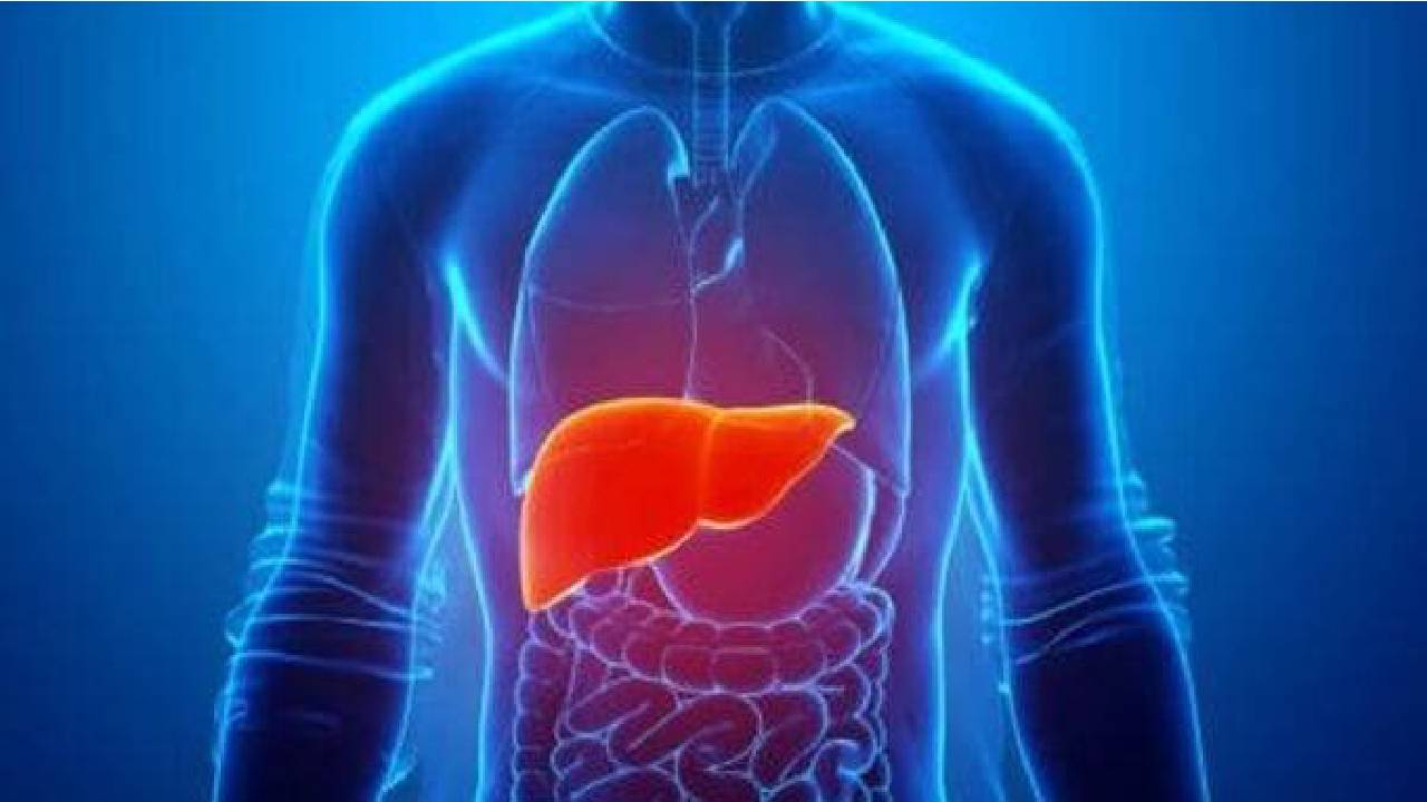 Health Tips: లివర్ ని శుభ్ర పరిచేందుకు ఈ డ్రింక్స్ తాగండి..