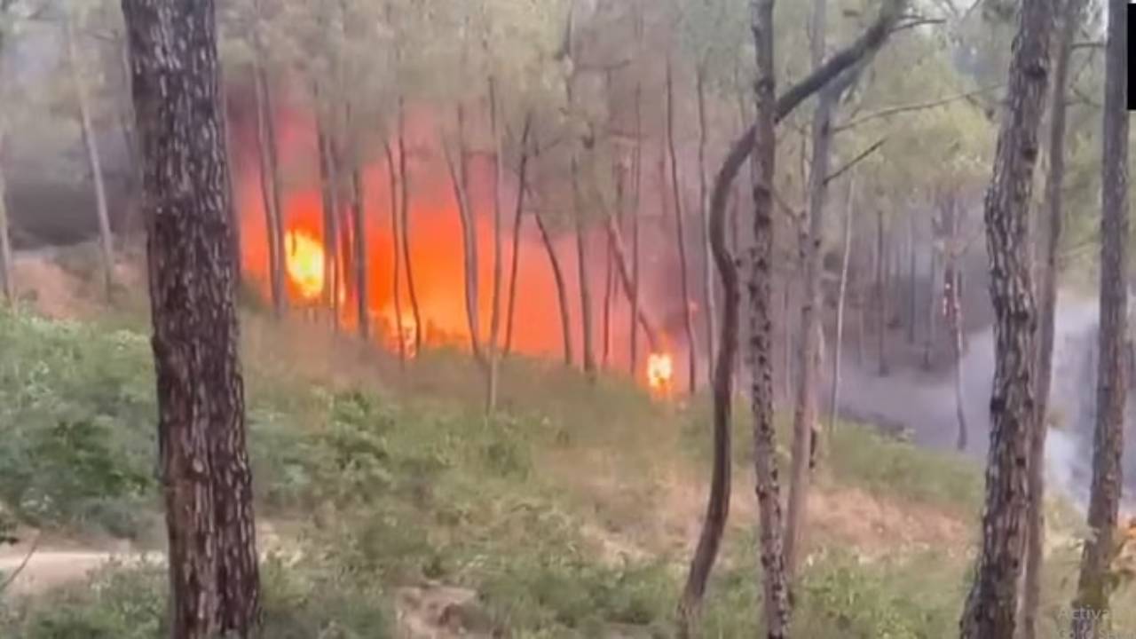Fire Accident :  హిమాచల్‌ అడవిలో చెలరేగిన మంటలు.. భారీ ఆస్తి నష్టం