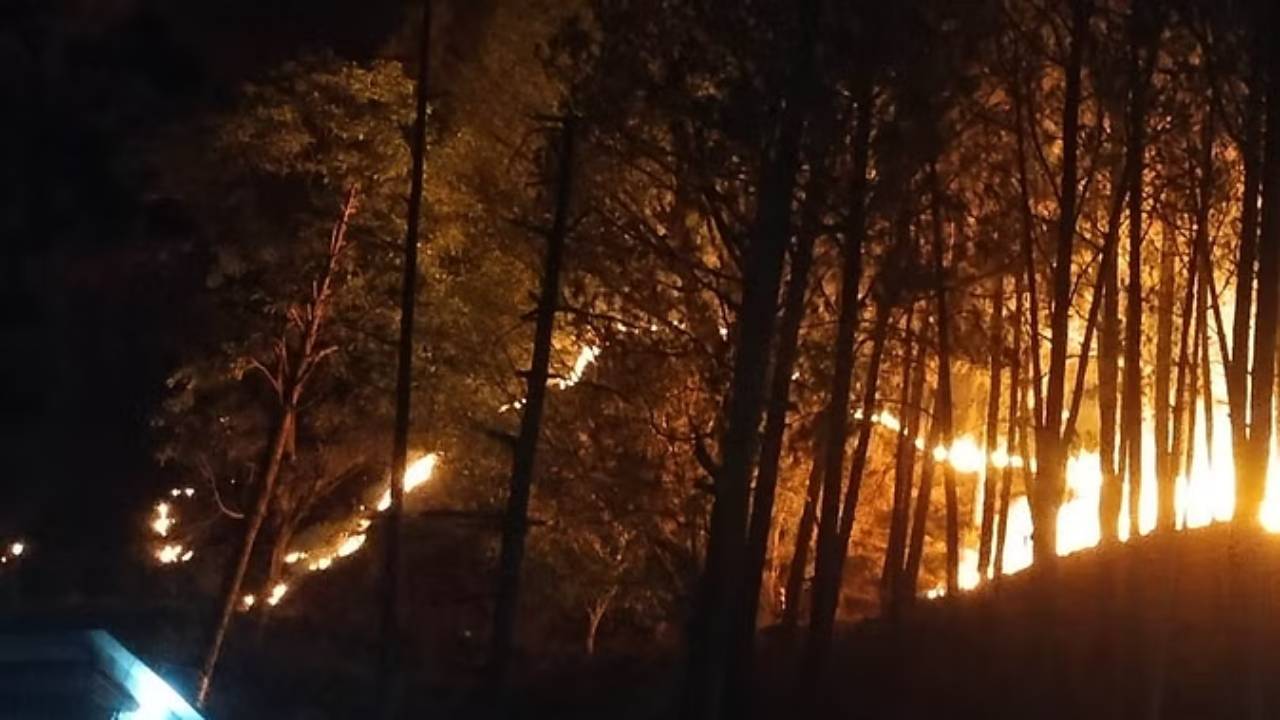 Forest Fire : ఉత్తరాఖండ్‌లో కాలుతున్న అడవులు.. 10 మంది మృతి