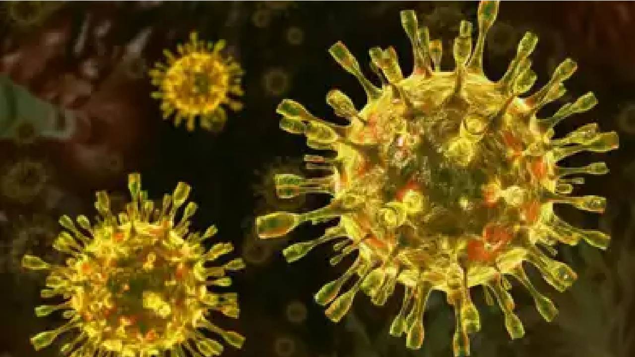 Japan: జపాన్ లో అరుదైన వ్యాధి.. అది సోకిన 48 గంటల్లో మనిషి ఖతం!