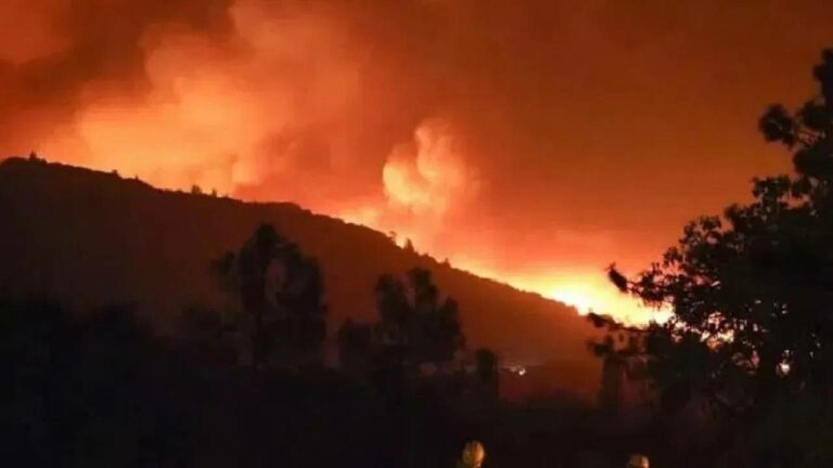 Fire Accident: కాలిఫోర్నియా అడవుల్లో మంటలు.. ప్రమాదంలో చిక్కుకున్న 1200మంది