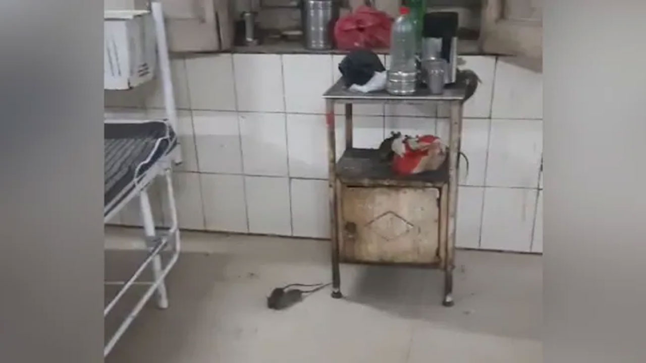Madhya Pradesh: ప్రభుత్వ ఆసుపత్రిలో ఎలుకలు స్వైర విహారం..