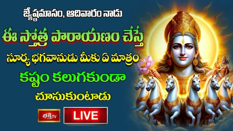 ఆదివారం నాడు ఈ స్తోత్ర పారాయణం చేస్తే సూర్య భగవానుడు మీకు ఏ మాత్రం కష్టం కలుగకుండా చూసుకుంటాడు