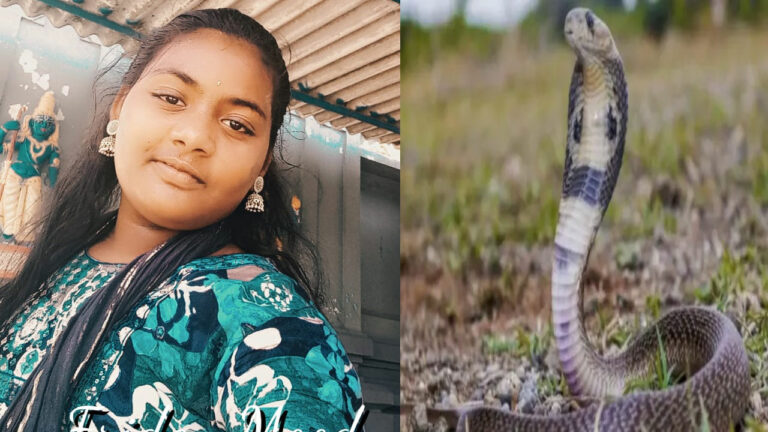 Snakebite: పాముకాటుకు బాలిక బలి.. ములుగు జిల్లాలో ఘటన