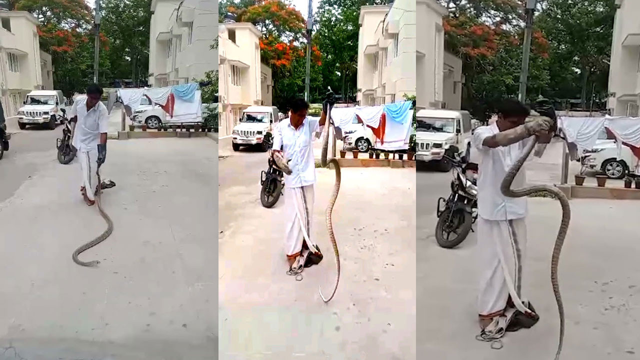 Tirumala: తిరుమలలో భారీ జెర్రిపోతు.. భయంతో పరుగులు తీసిన భక్తులు