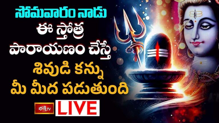 Shiva Stotram: ఈ స్తోత్ర పారాయణం చేస్తే శివుడి అనుగ్రహం కలుగుతుంది..