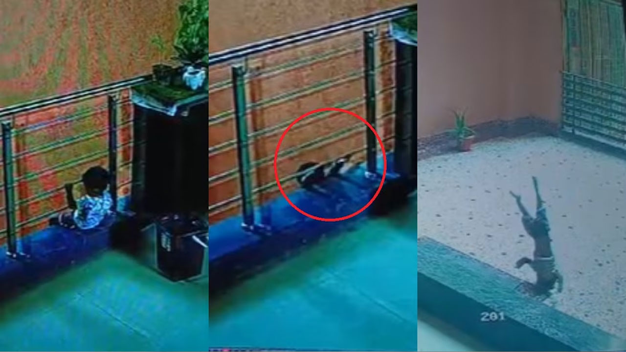 Surat: విషాదం.. 7వ అంతస్తు నుంచి పడి రెండేళ్ల బాలుడు మృతి