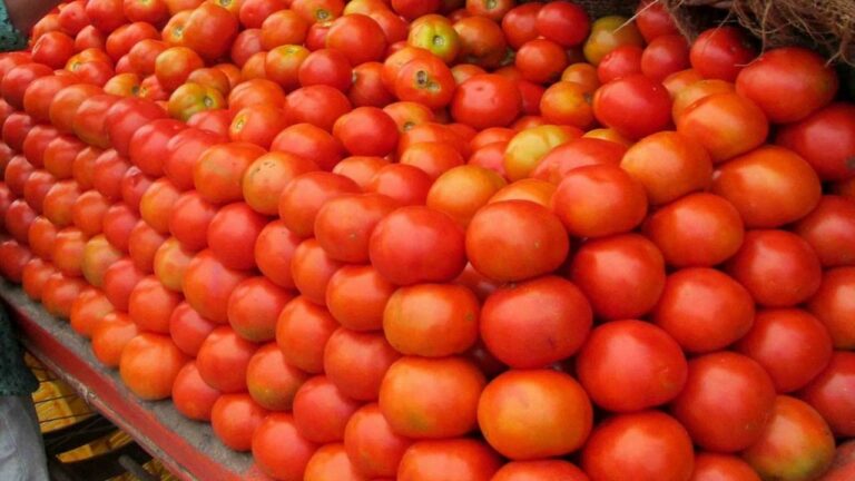 Tomato prices: టమాటా ధరలకు మళ్లీ రెక్కలు.. సెంచరీ కొట్టిన కిలో ధర