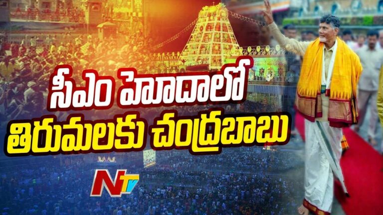 Chandrababu: తిరుమల శ్రీవారి సన్నిధిలో సీఎం చంద్రబాబు