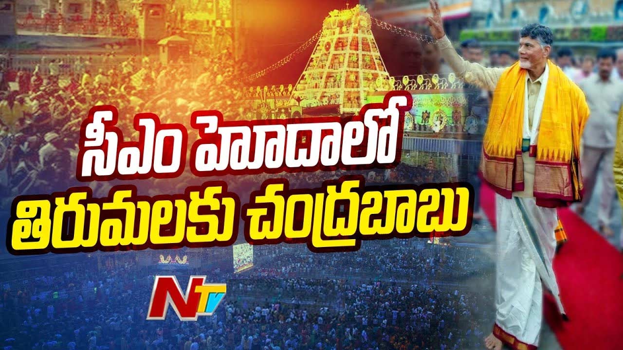 Chandrababu: తిరుమల శ్రీవారి సన్నిధిలో సీఎం చంద్రబాబు